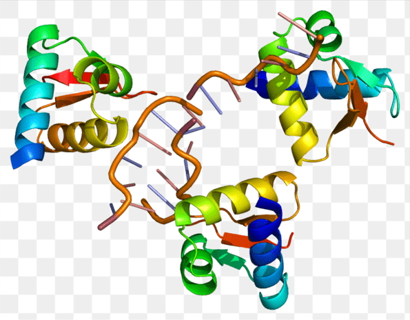 Another Representation of a RNA Binding Protein